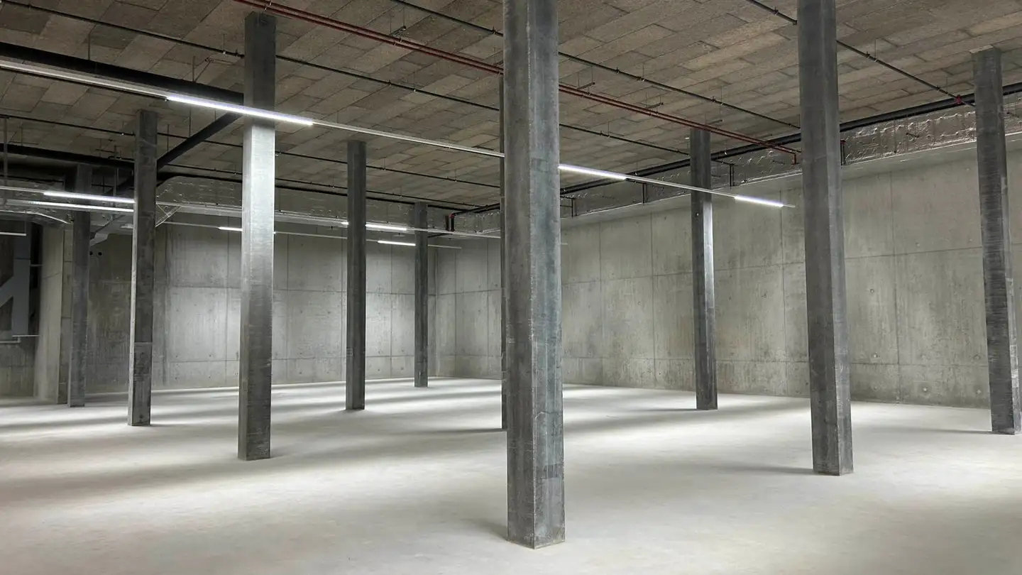 Industrial property for rent - Route Des Fayards 282, 1290 Versoix - Photo 2