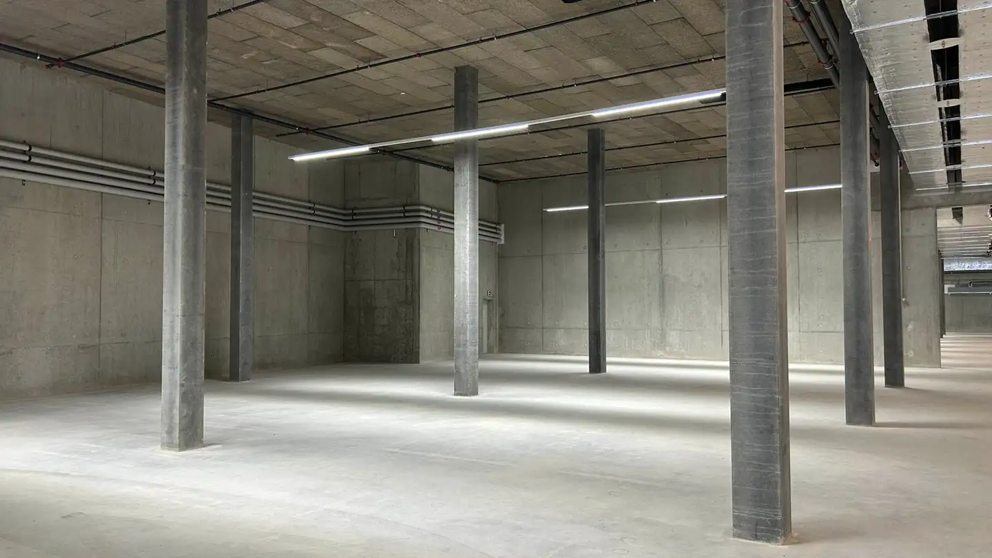 Industrial property for rent - Route Des Fayards 282, 1290 Versoix - Photo 3