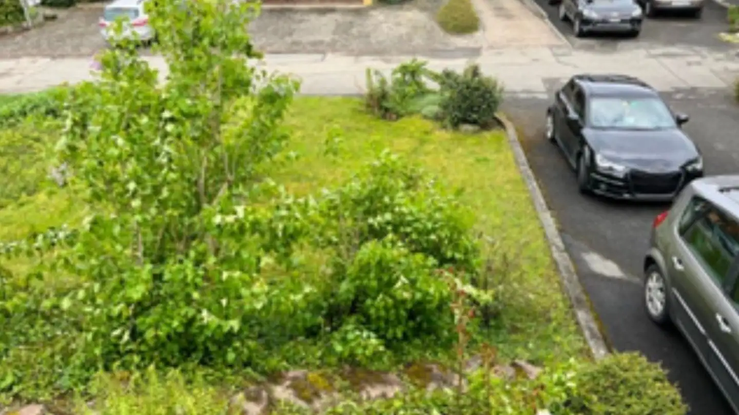 Maison individuelle à louer - Adlismattstrasse 25, 8905 Arni AG - Photo 4