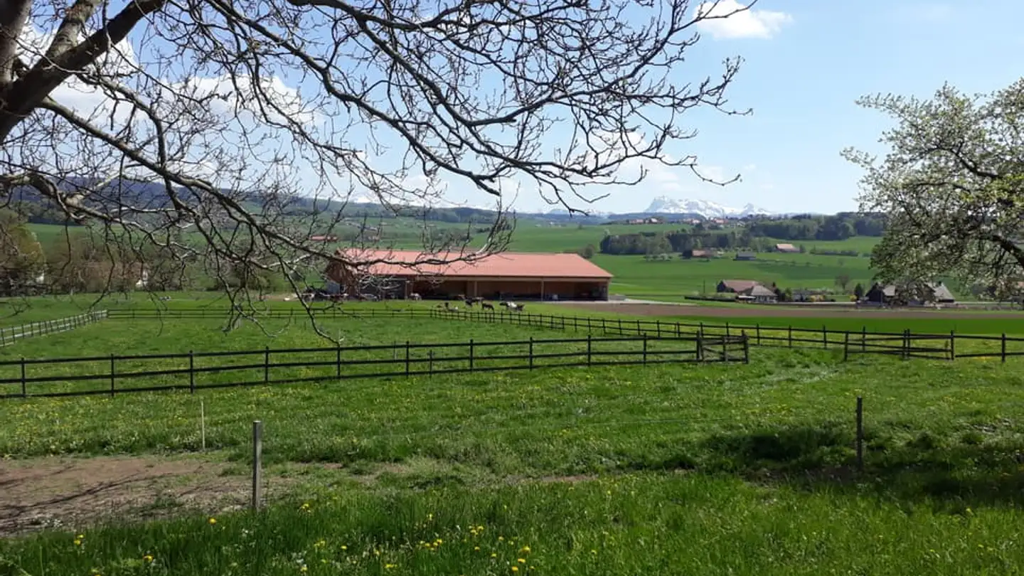 Appartement à louer - Route Du Village 21, 1690 Lussy FR - Photo 3