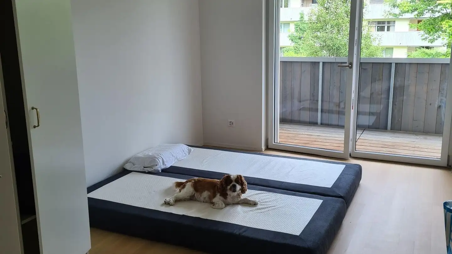 Appartement meublé à louer - Martina-Hälg-Strasse 7, 8590 Romanshorn - Photo 2