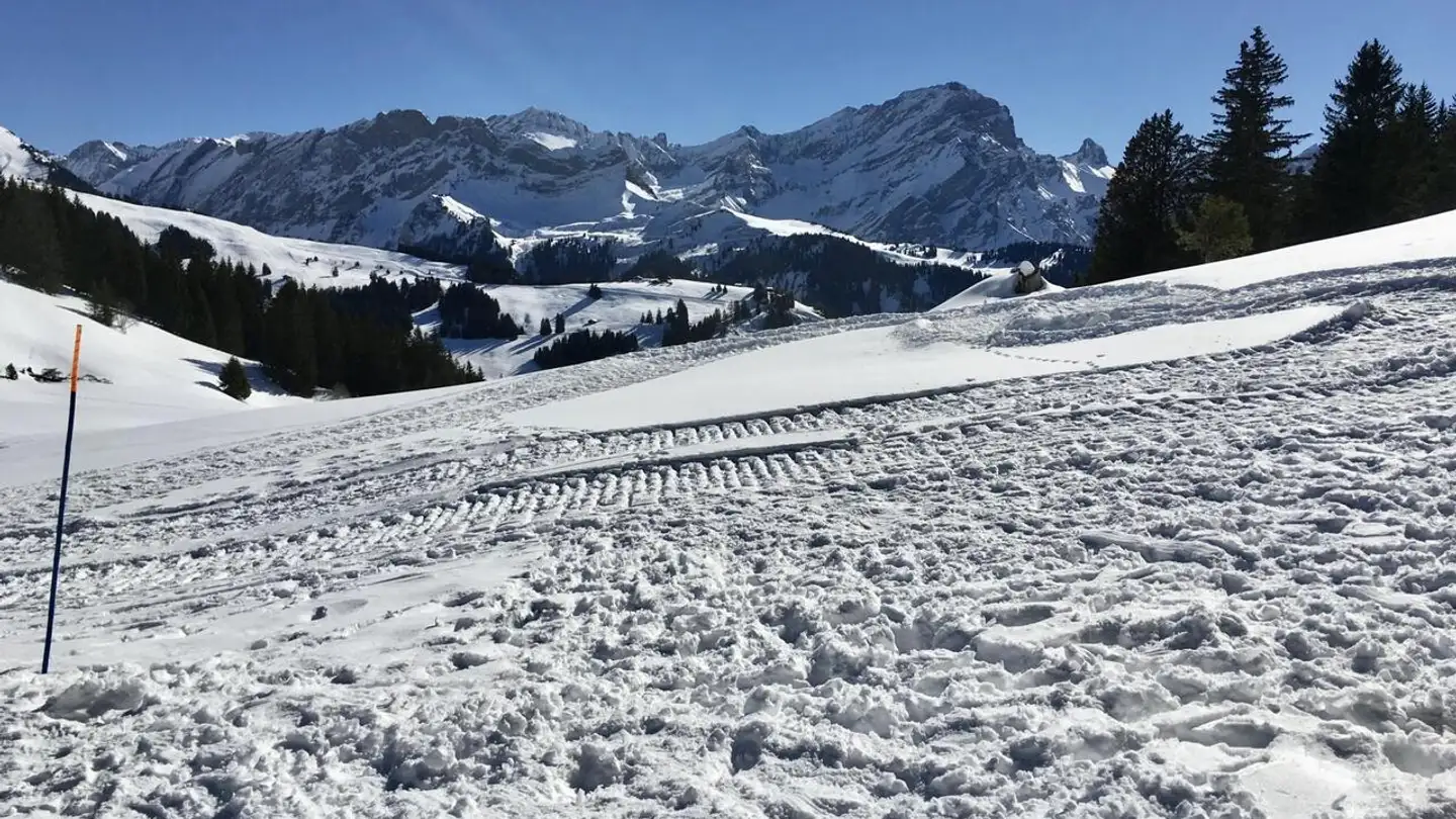 Appartamento in vendita - 1882 Gryon - Photo 2