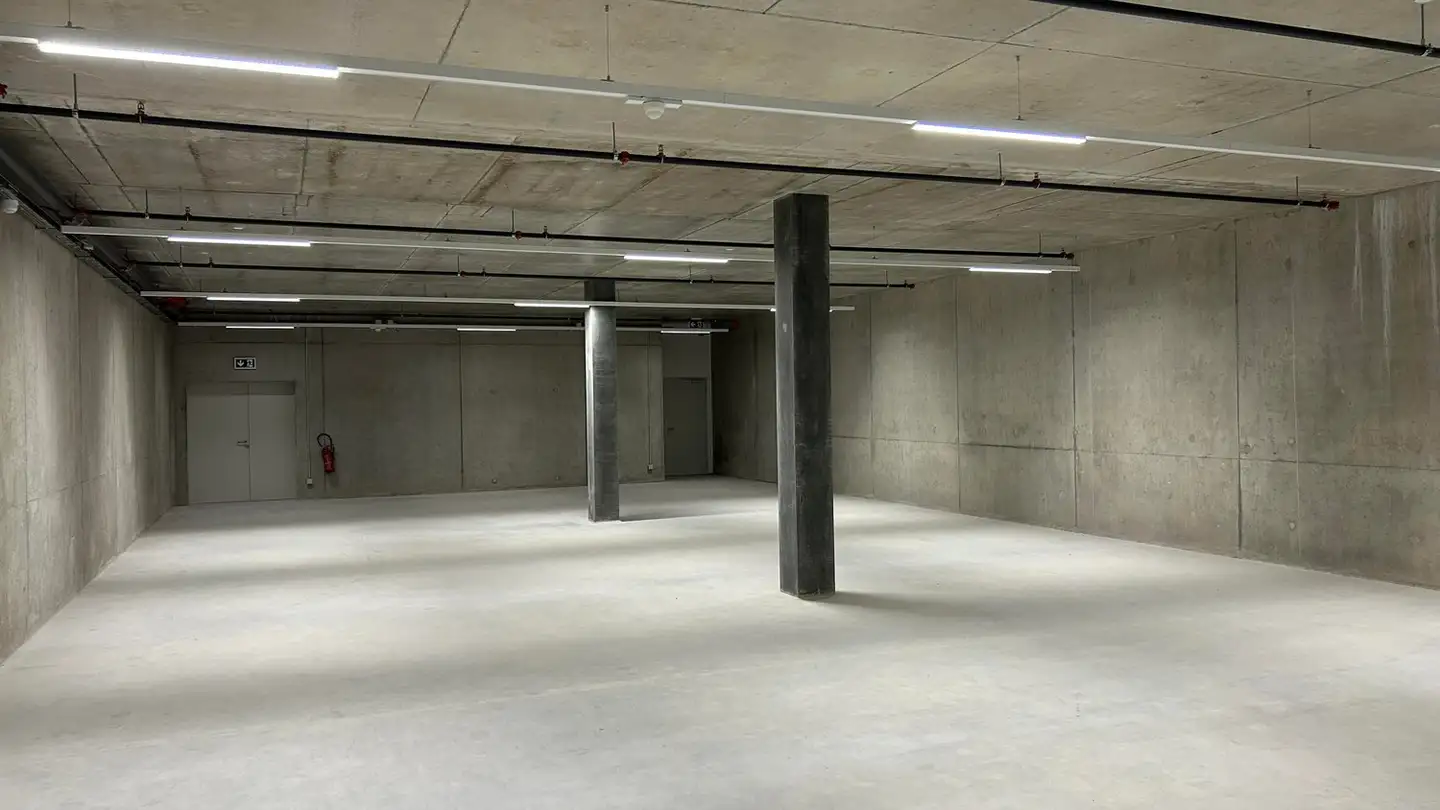 Industrial property for rent - Route Des Fayards 282, 1290 Versoix - Photo 4