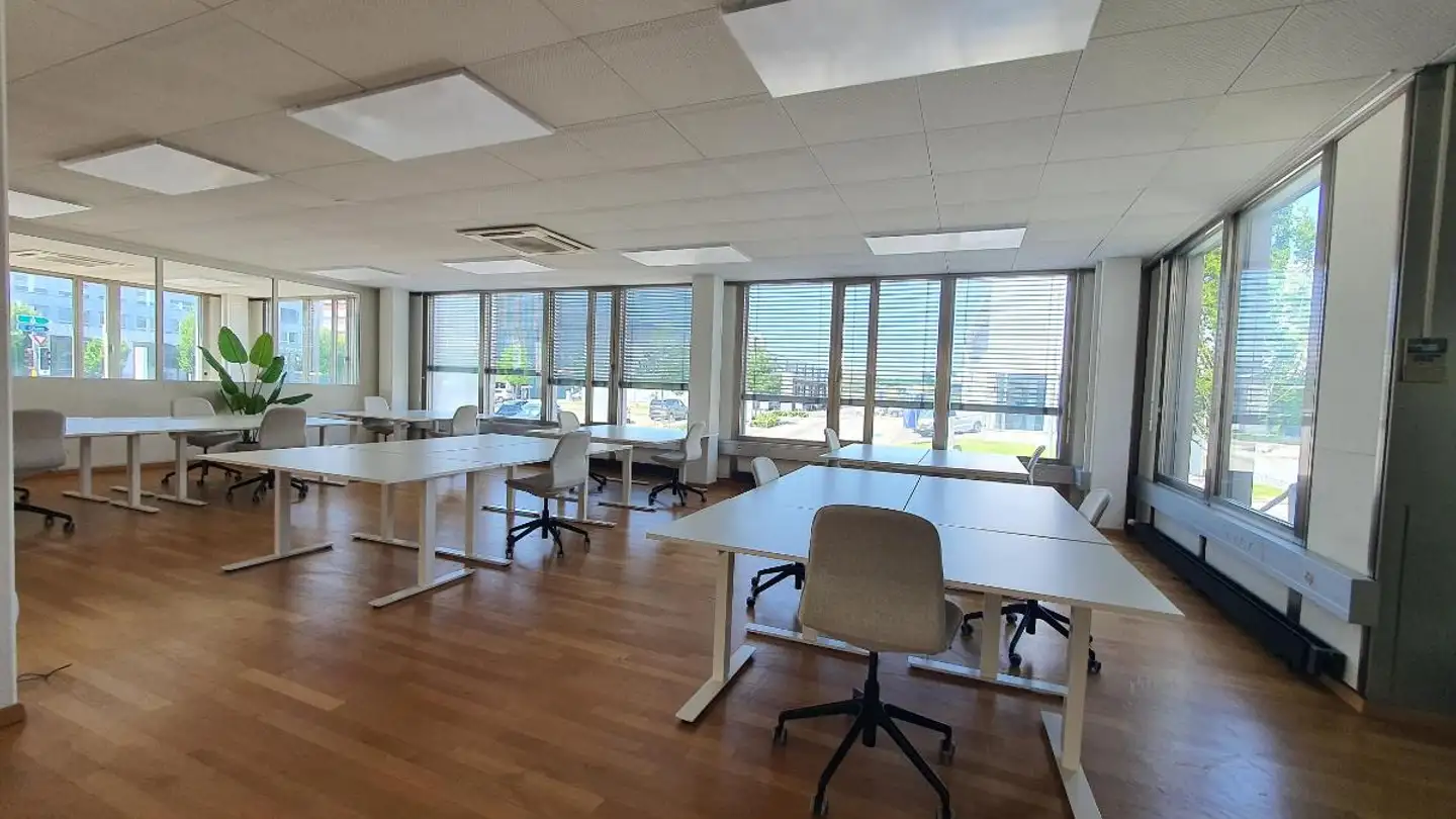 Bürofläche mieten - Alte Steinhauserstrasse 10, 6330 Cham