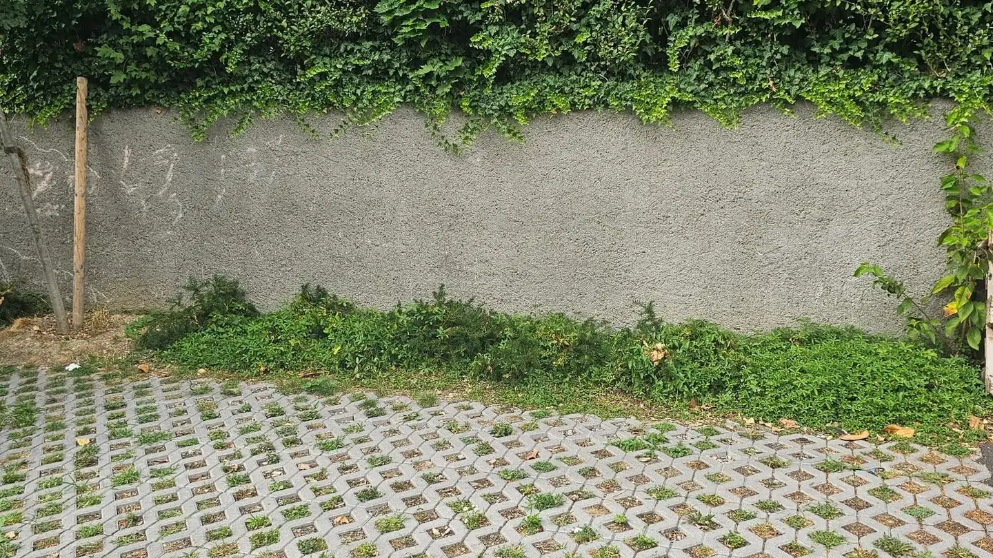 Outdoor parking space for rent - Eichstrasse, 8045 Zürich