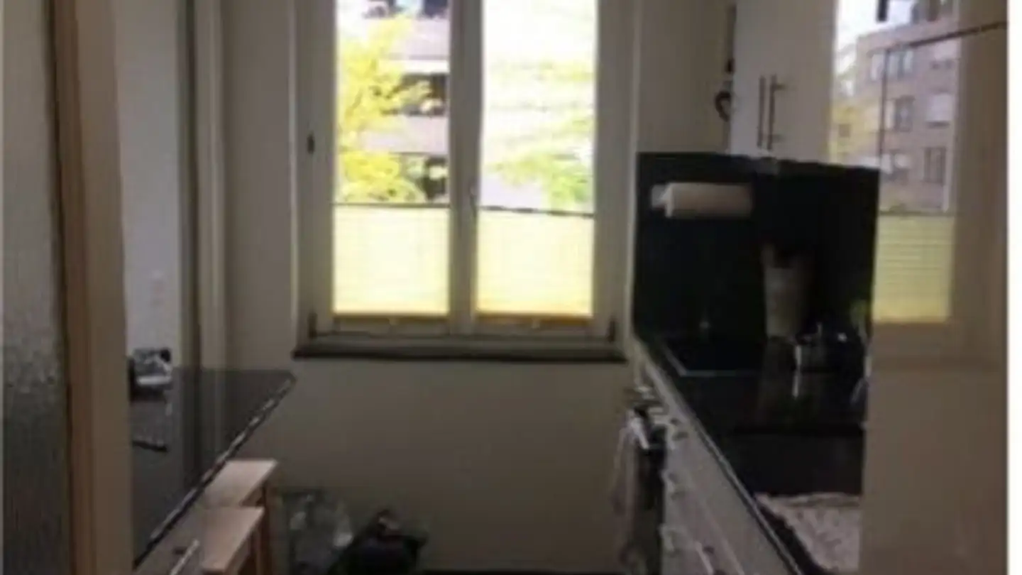 Appartamento in affitto - 8052 Zürich - Foto 2