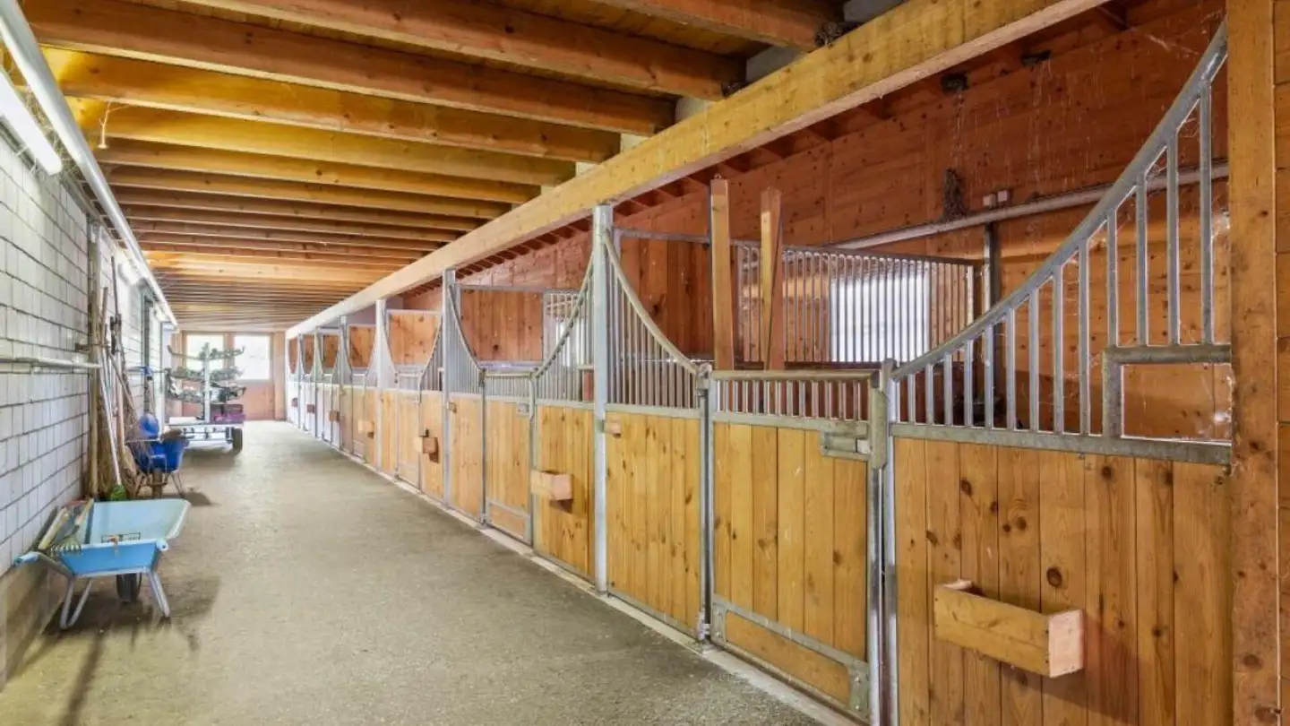 Gewerbe kaufen - Hauptstrasse 110, 8508 Homburg - Foto 2