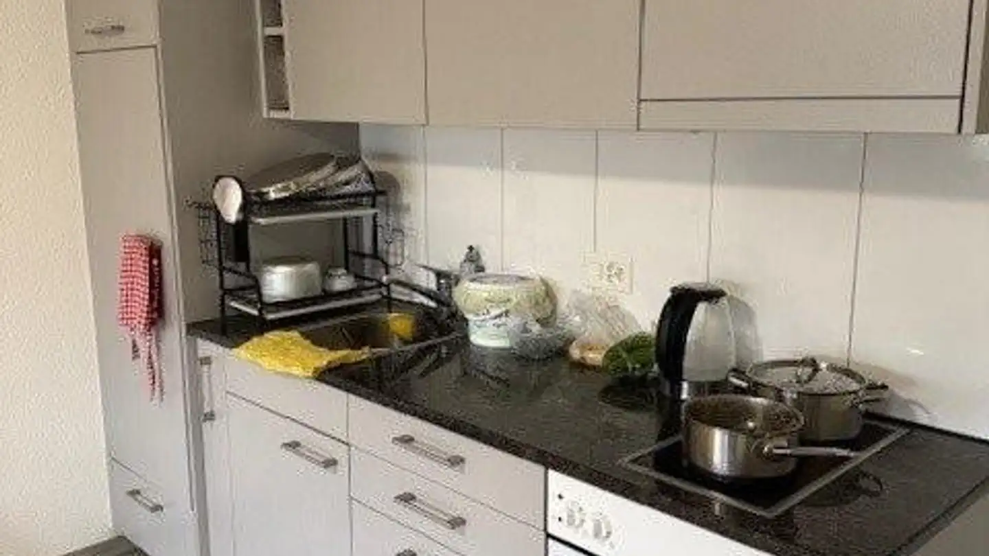 Appartamento in affitto - Ifangstrasse 15, 8104 Weiningen ZH - Foto 3