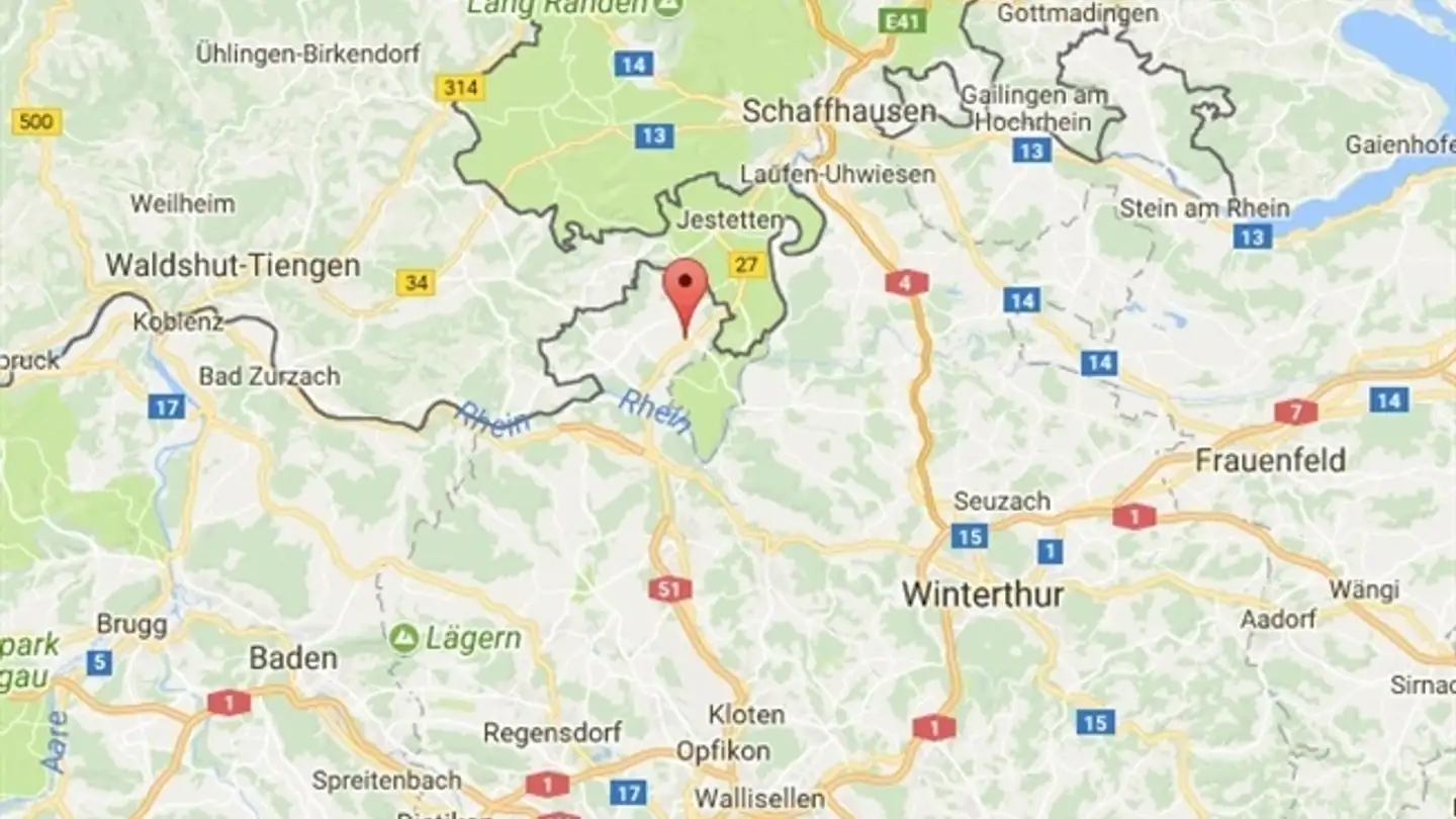 Proprietà industriale in vendita - 8197 Rafz - Foto 3