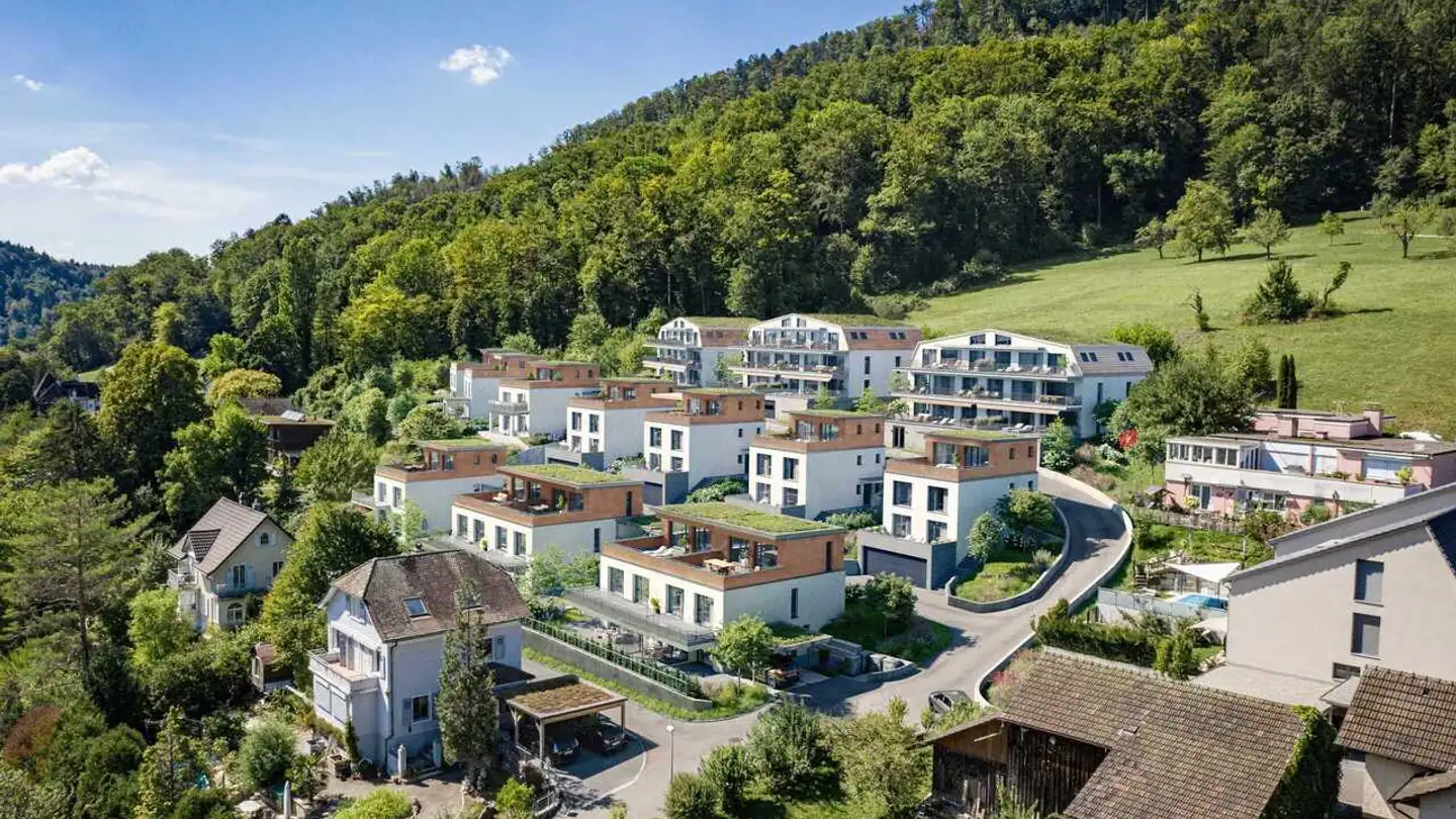 Appartement à vendre - Im Sunnefeld, 4203 Grellingen - Photo 2