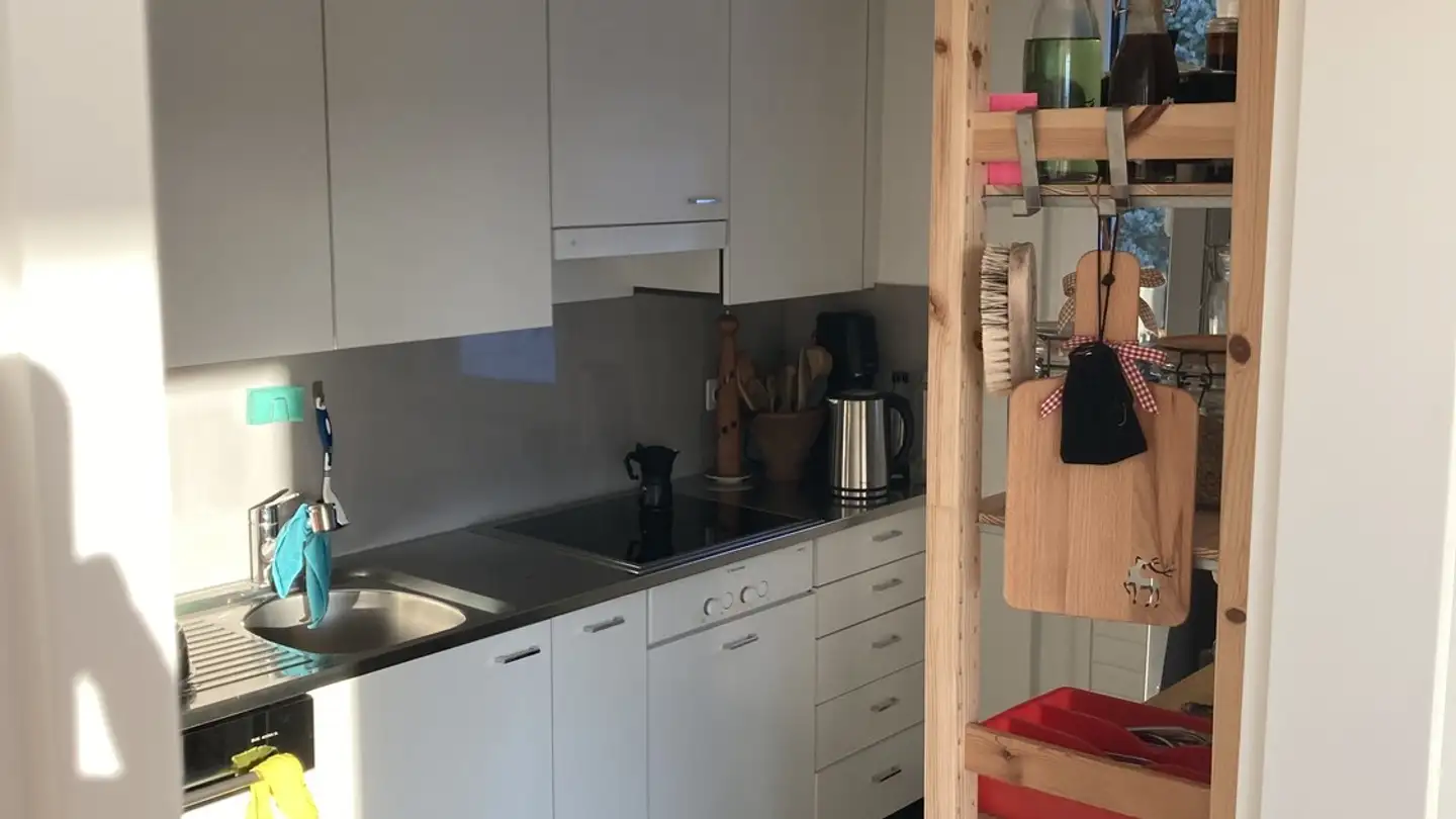 Chambre à louer - Uetlibergstrasse 31, 8902 Urdorf - Photo 3