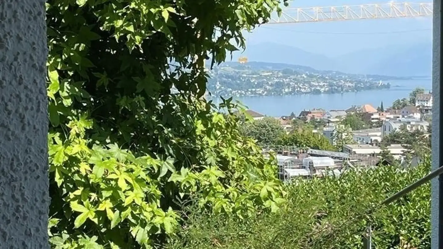 Apartment for rent - Im Sack, 8800 Thalwil - Photo 3