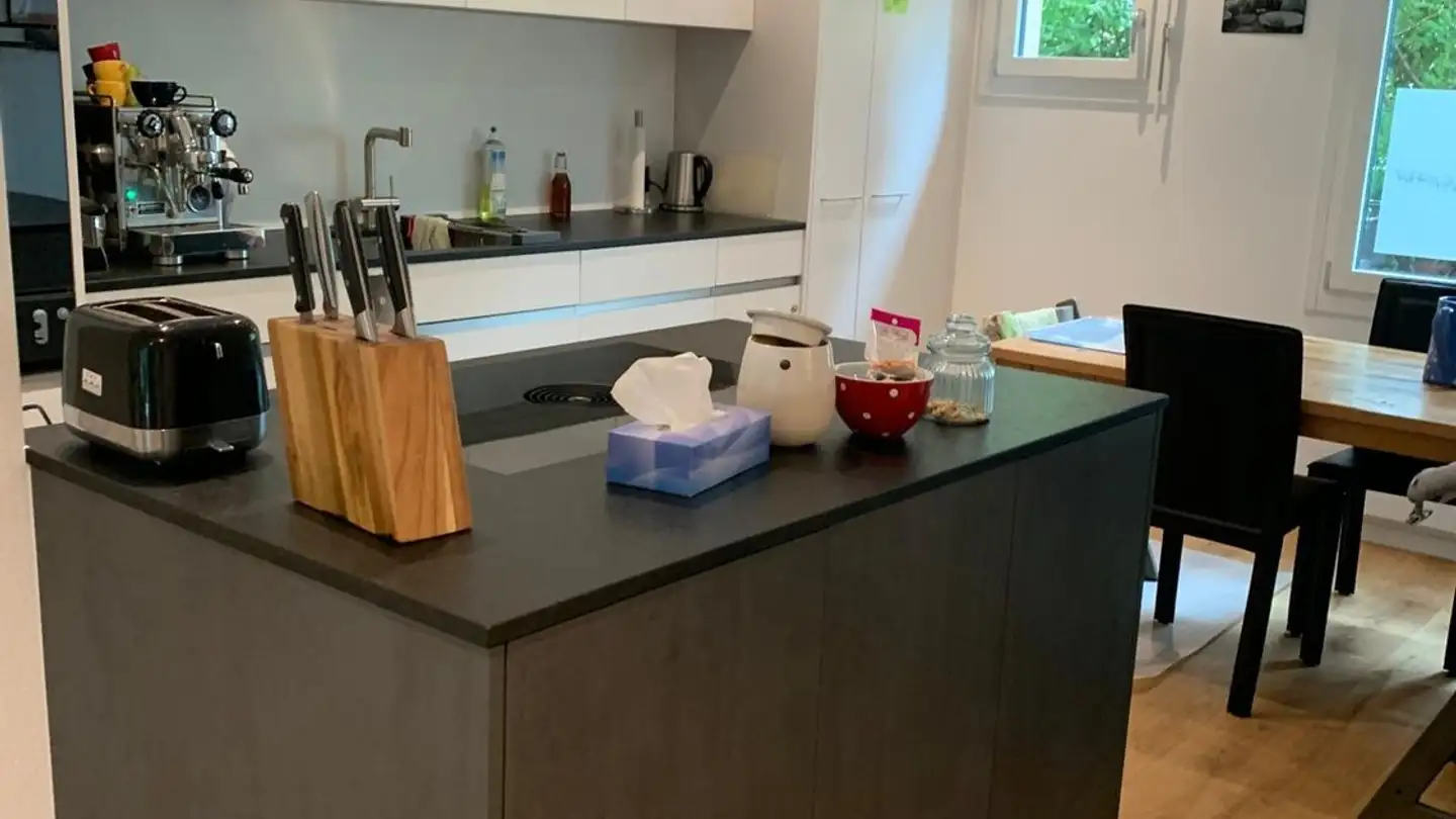 Apartment for rent - Geiselweidstrasse, 8400 Winterthur - Photo 2