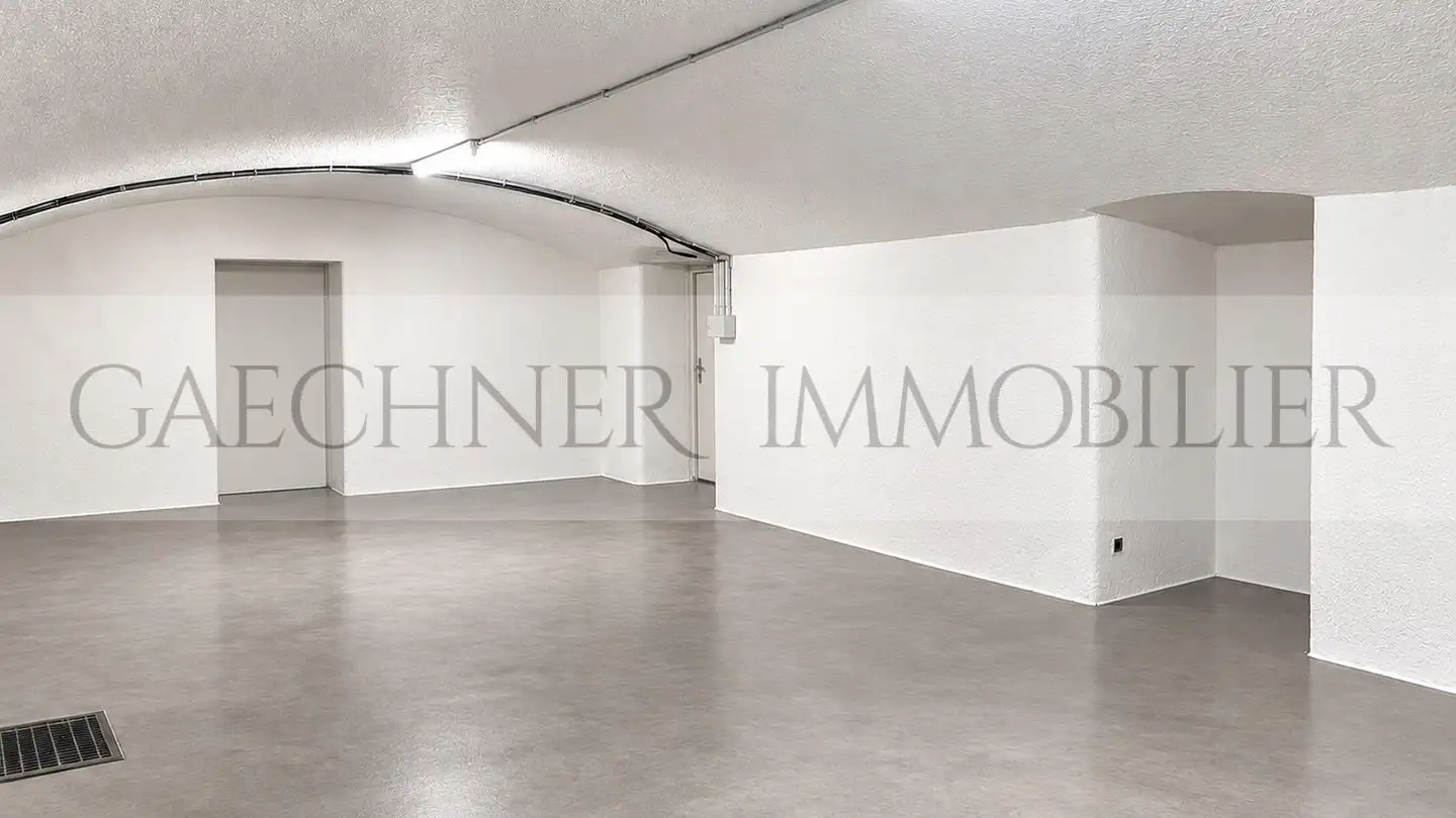 Mixed-use building for rent - 1201 Genève