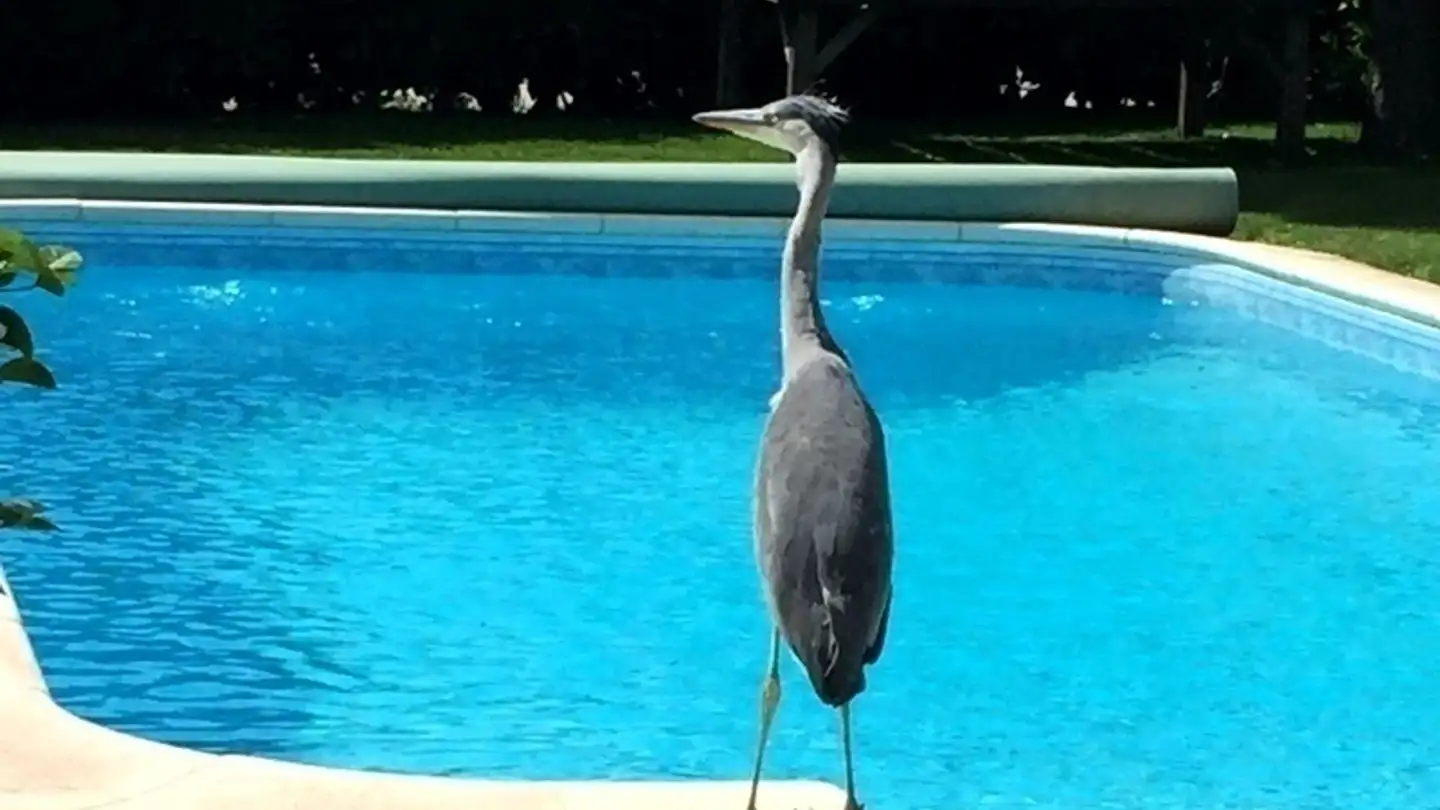 Apartment for rent - 4653 Obergösgen