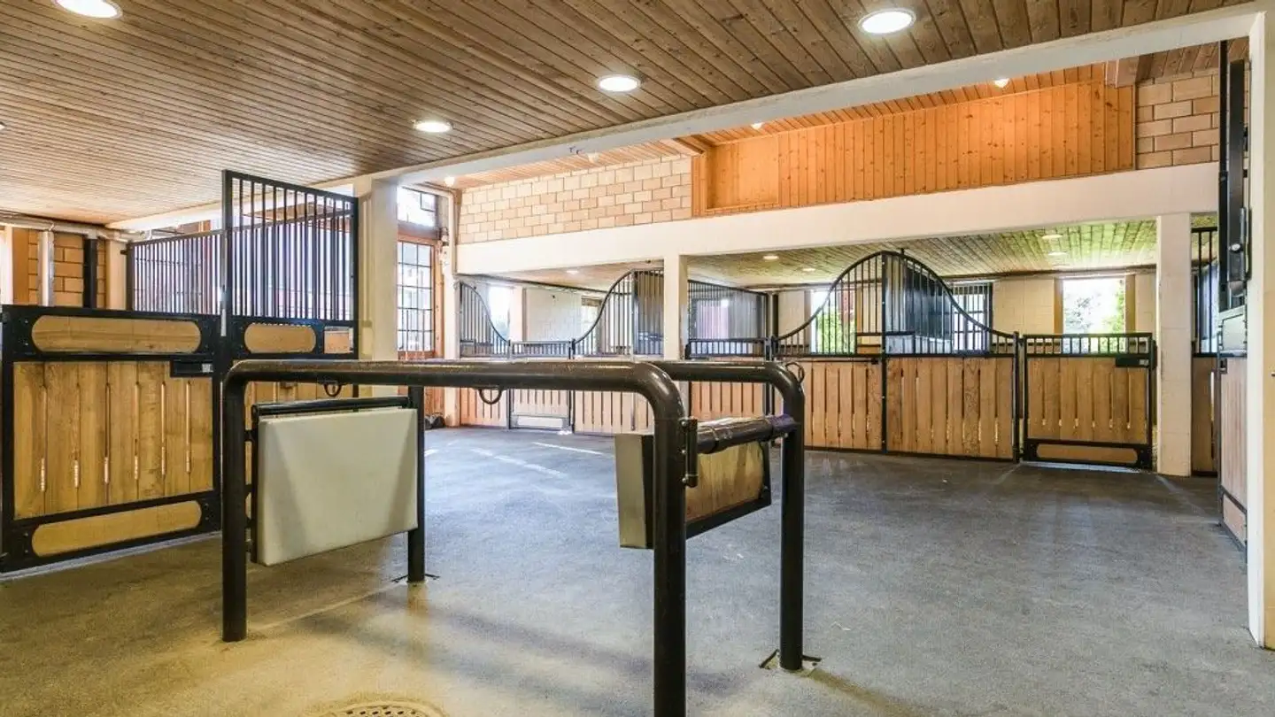 Villa in vendita - 8588 Zihlschlacht - Photo 4