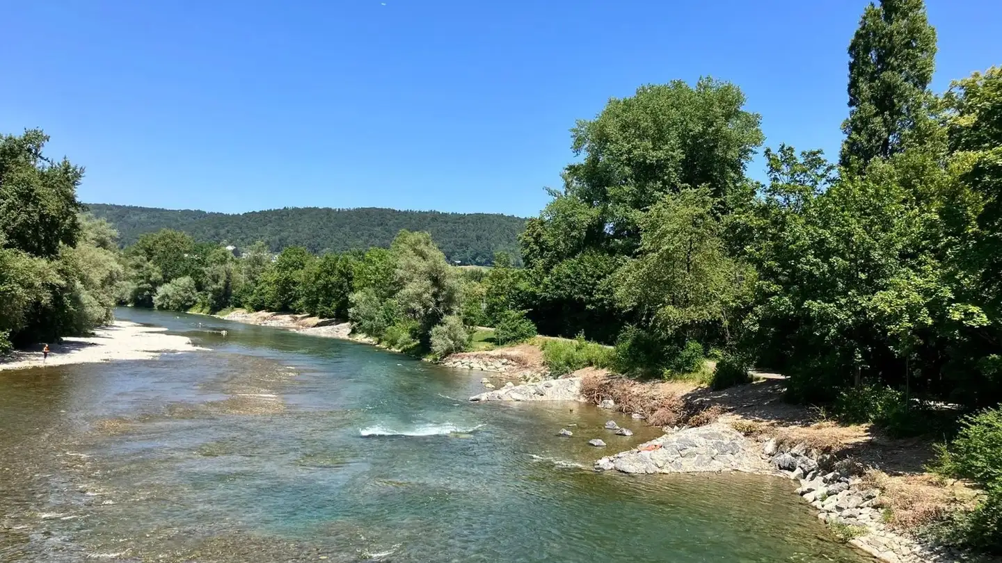 Single house for sale - Hardwaldstrasse 4b, 8951 Fahrweid - Photo 3