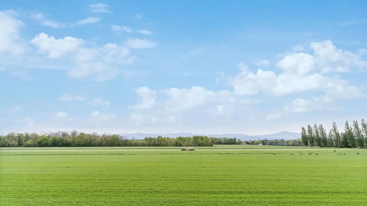 Gewerbe mieten - Route Des Avouillons 17a, 1196 Gland