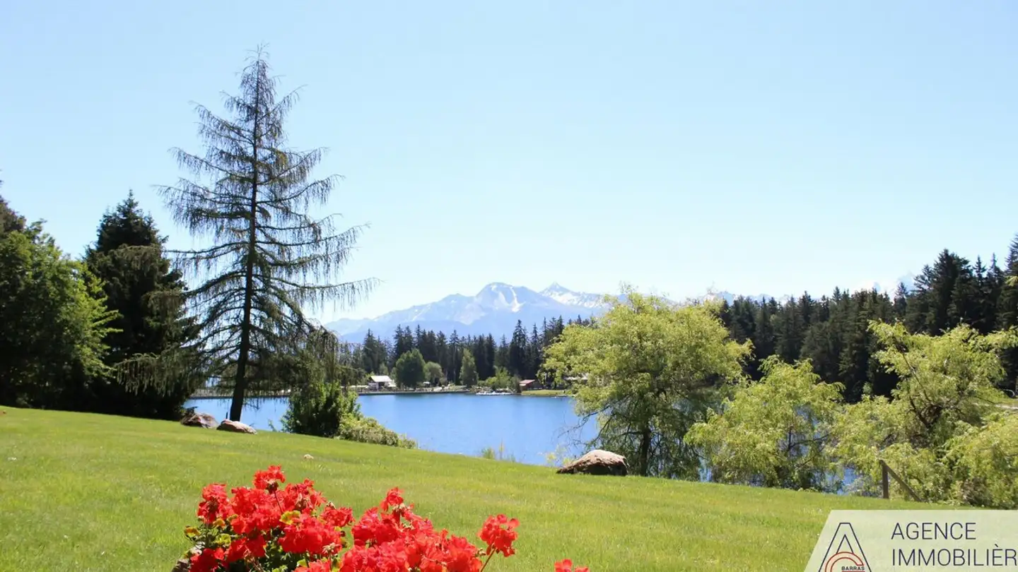 Appartement à louer - Route De Crans-Montana, 3963 Montana - Photo 2