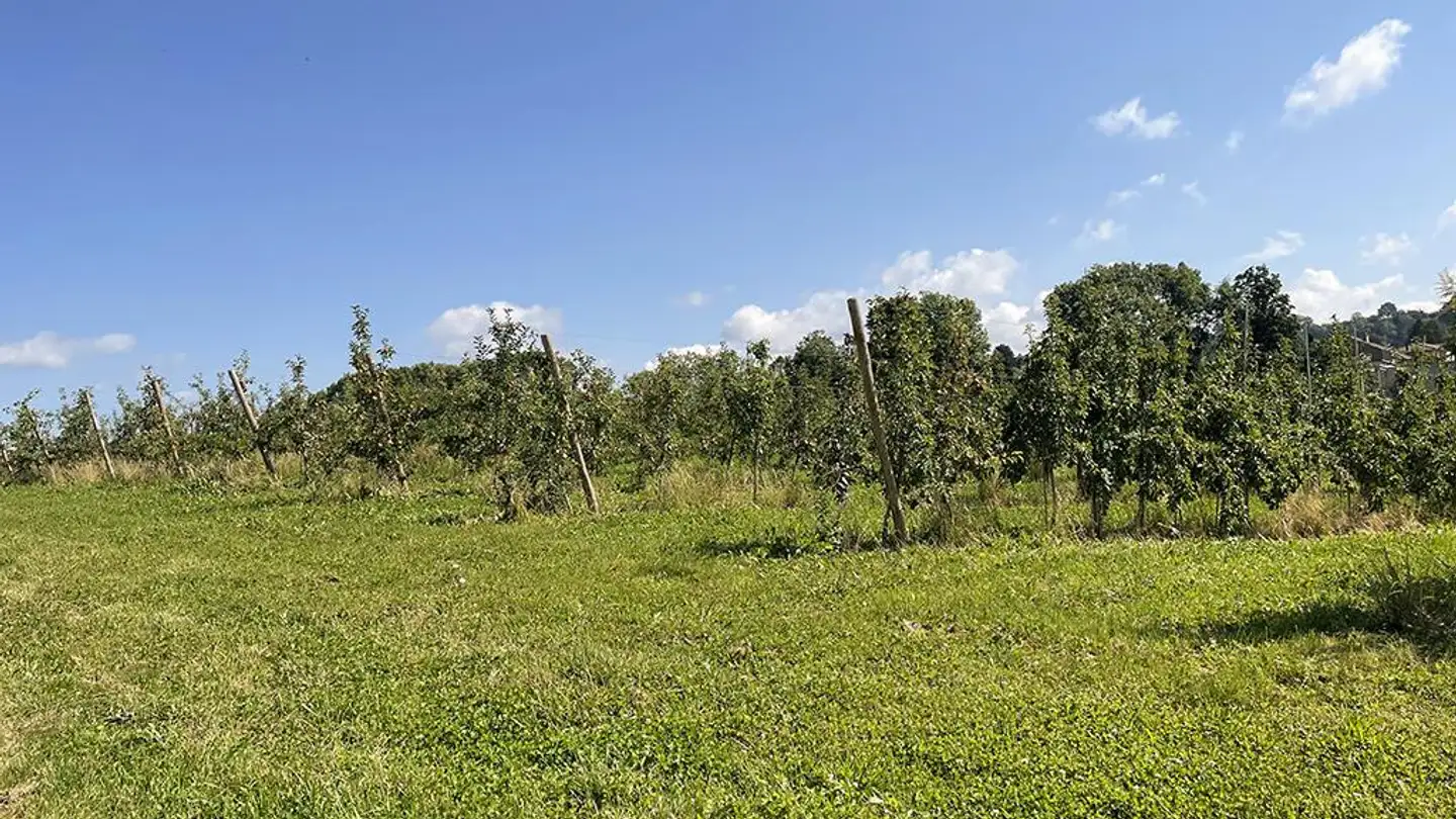 Wohnung kaufen - 1052 Le Mont-sur-Lausanne - Foto 2