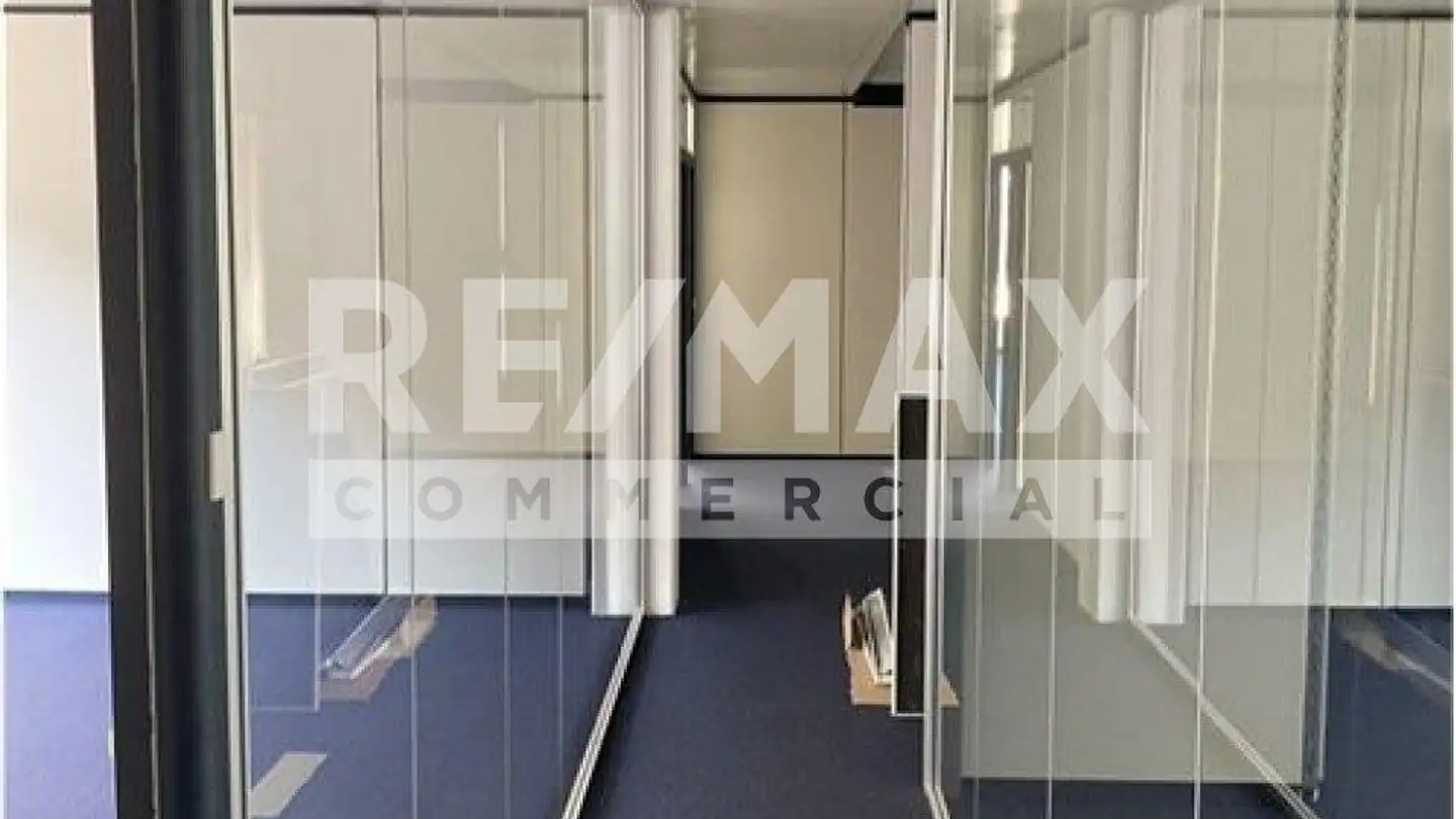Commercial à vendre - 6926 Montagnola - Photo 4