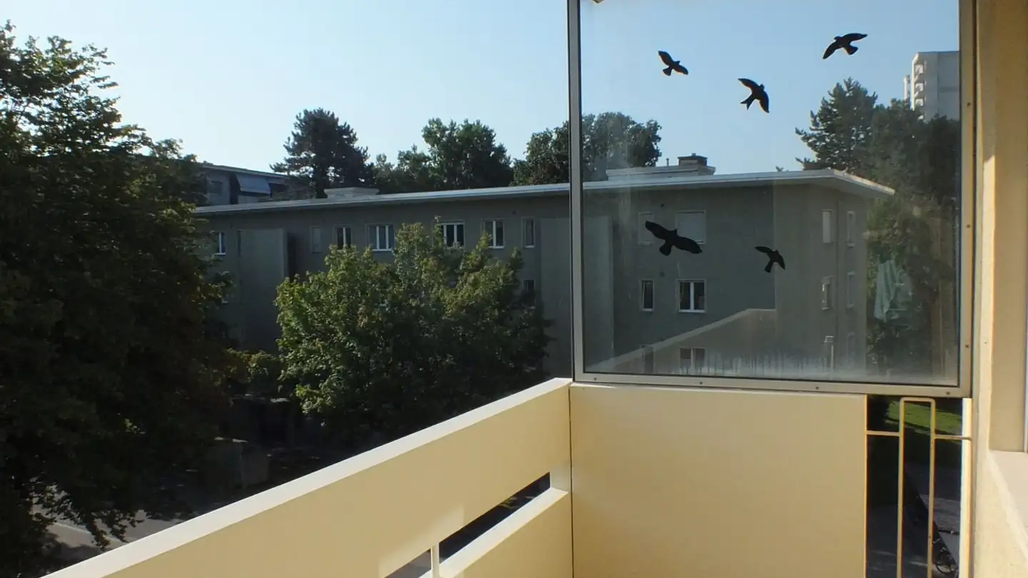 Appartamento in affitto - Scheideggstrasse 20, 8400 Winterthur - Foto 4