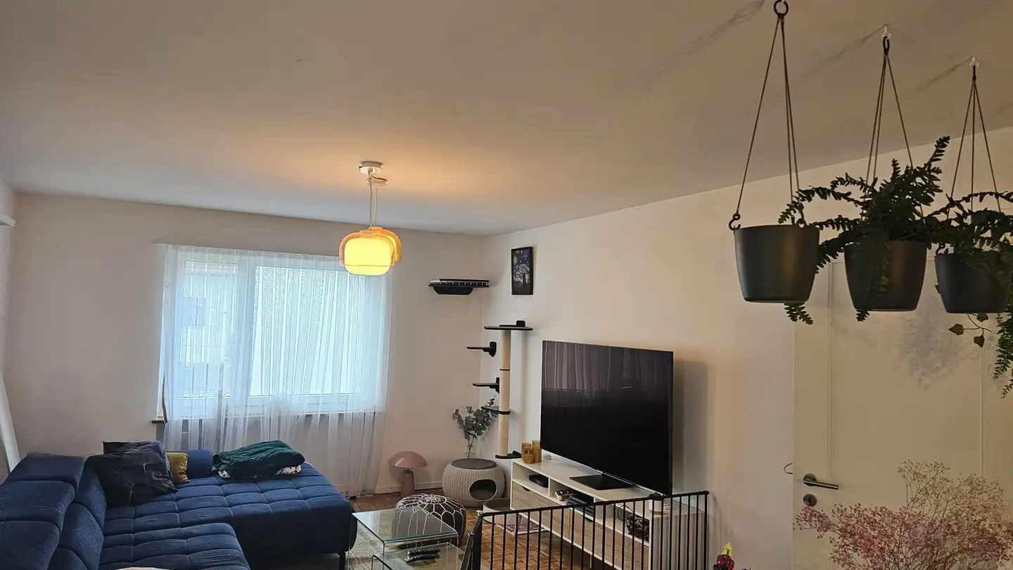 Chambre à louer - Schulstrasse 20, 8105 Regensdorf - Photo 3