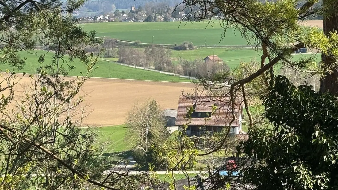 Constructible plot for sale - Unteres Büel 11, 8457 Humlikon - Photo 3