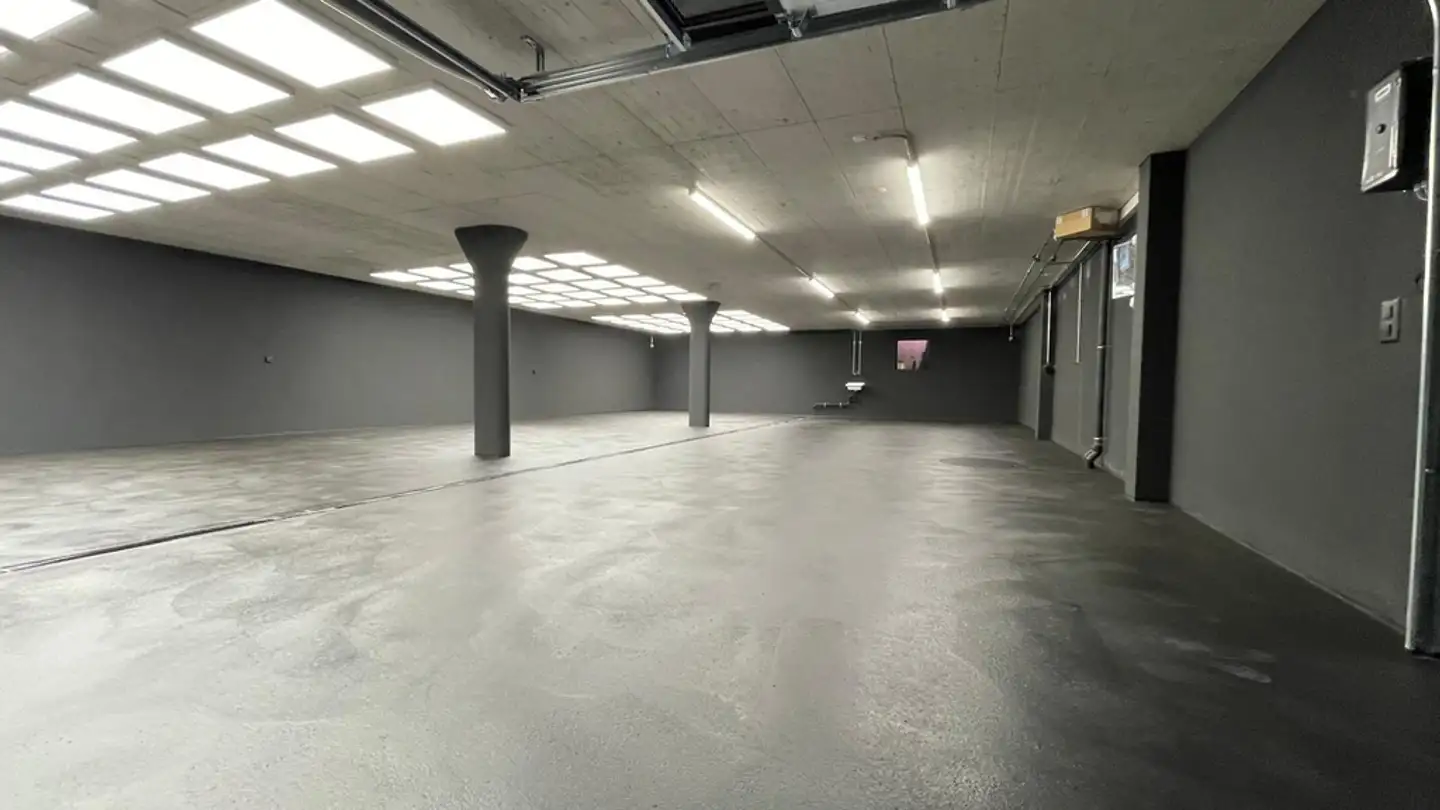 Commercial à louer - Steinhaldenring 10, 8954 Geroldswil - Photo 3