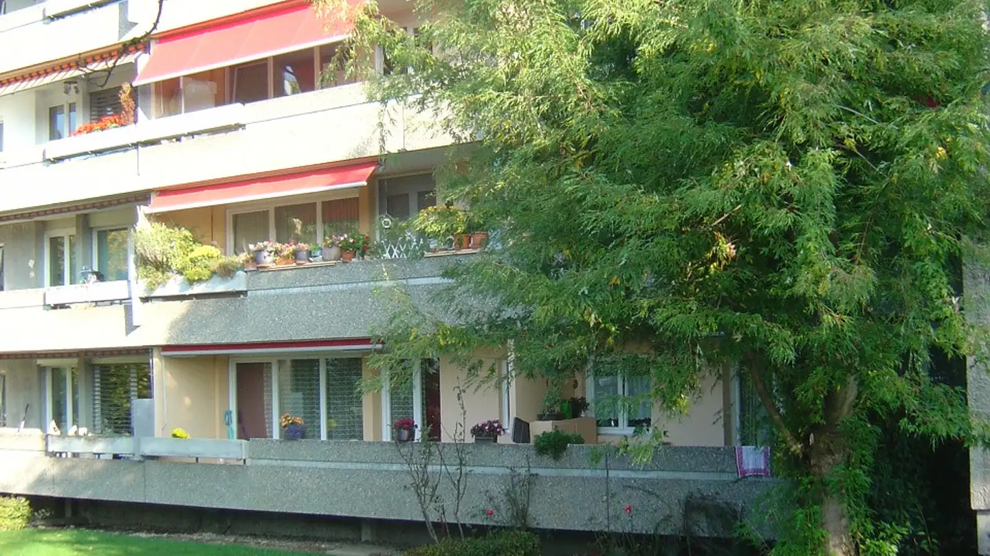 Appartement à louer - Scheyenholzstrasse 3, 3075 Rüfenacht BE