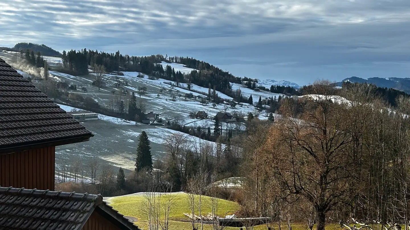 Casa singola in vendita - Bogenstrasse, 9621 Oberhelfenschwil - Foto 4