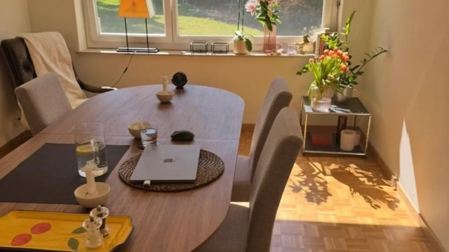 Furnished apartment for rent - 8125 Zollikerberg