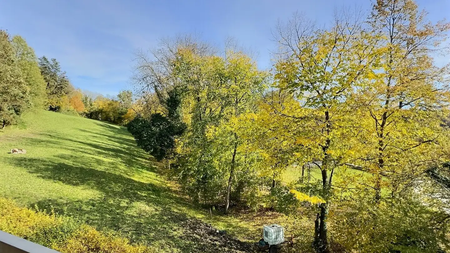 Wohnung kaufen - Chemin Du Palatinat, 1700 Fribourg - Foto 4