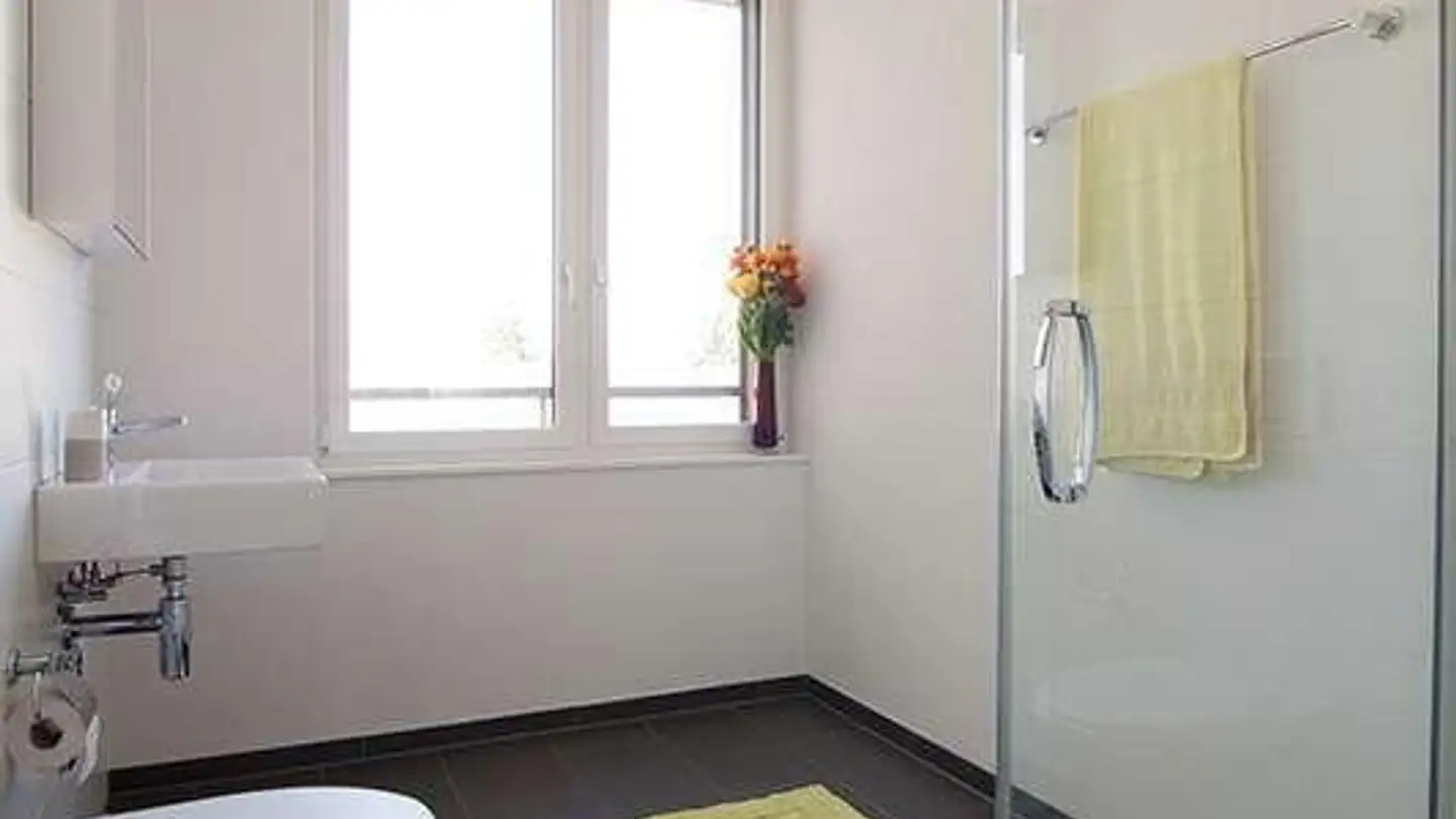 Appartamento in affitto - Alte Zwillikerstrasse 1, 8908 Hedingen - Photo 4