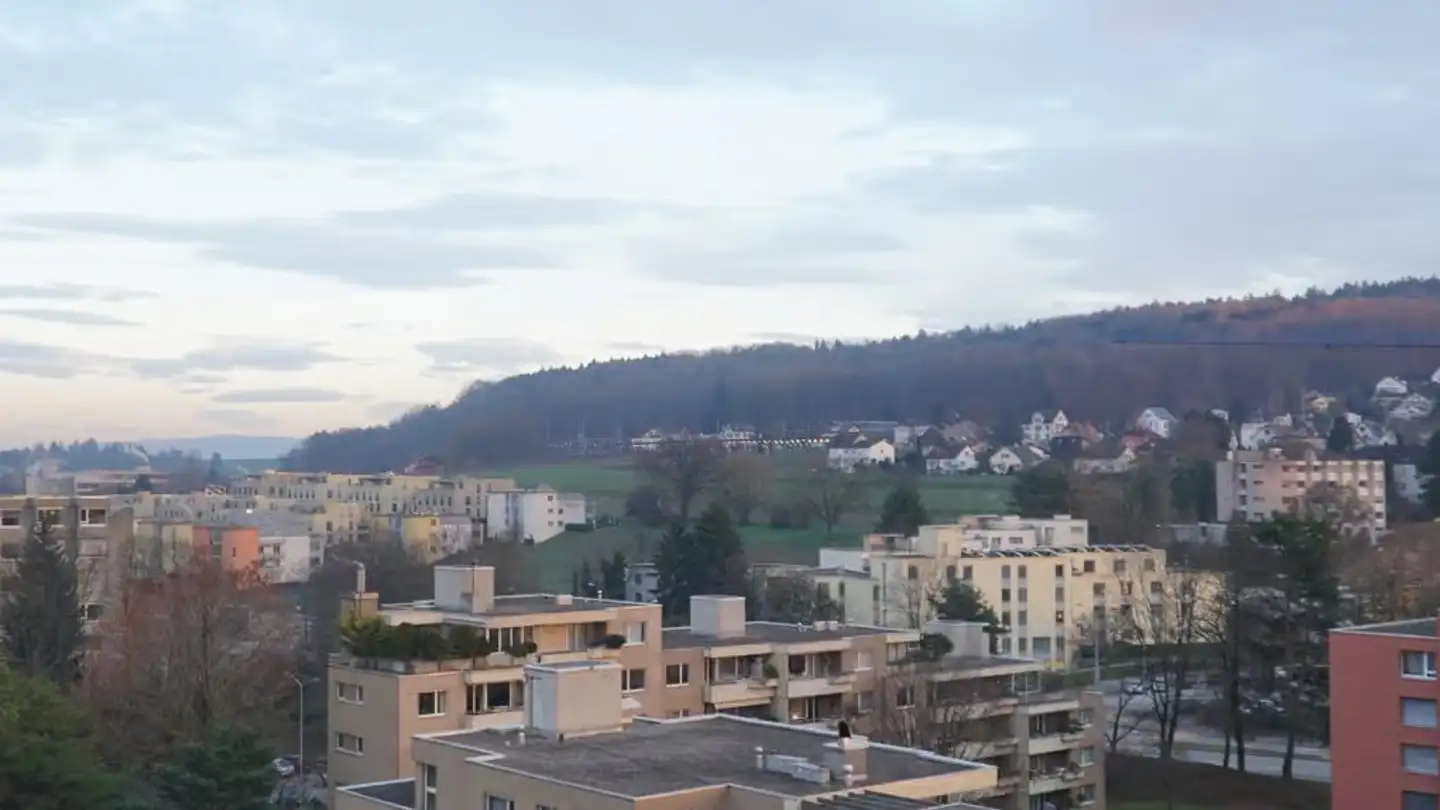 Appartamento in affitto - Bundentalstrasse 4, 8952 Schlieren - Foto 2