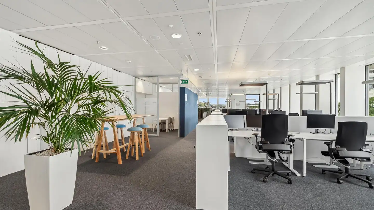 Spazio ufficio in affitto - Lichtstrasse 35, 4056 Basel - Foto 3