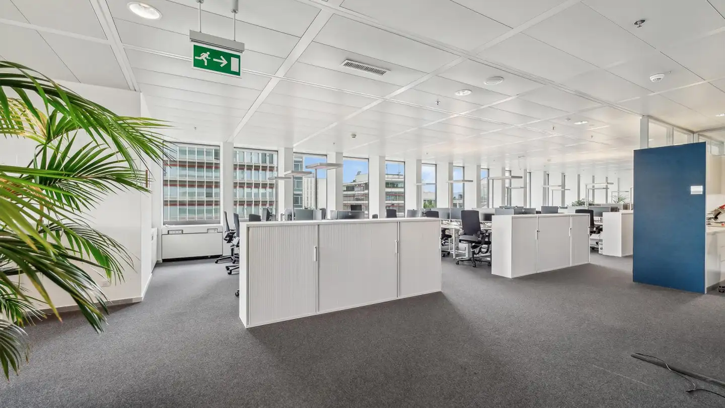 Spazio ufficio in affitto - Lichtstrasse 35, 4056 Basel - Foto 4