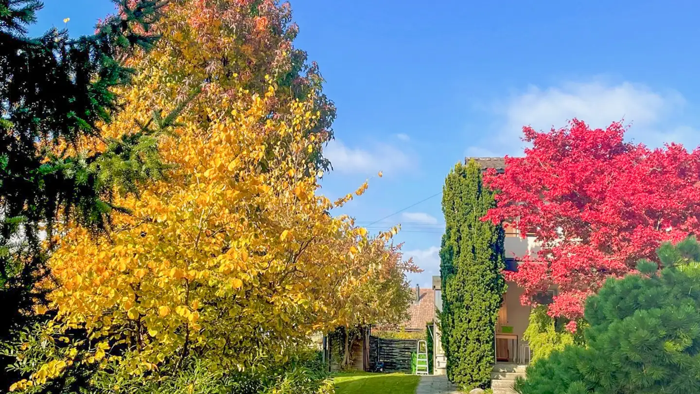 Casa singola in vendita - 5503 Schafisheim - Foto 3