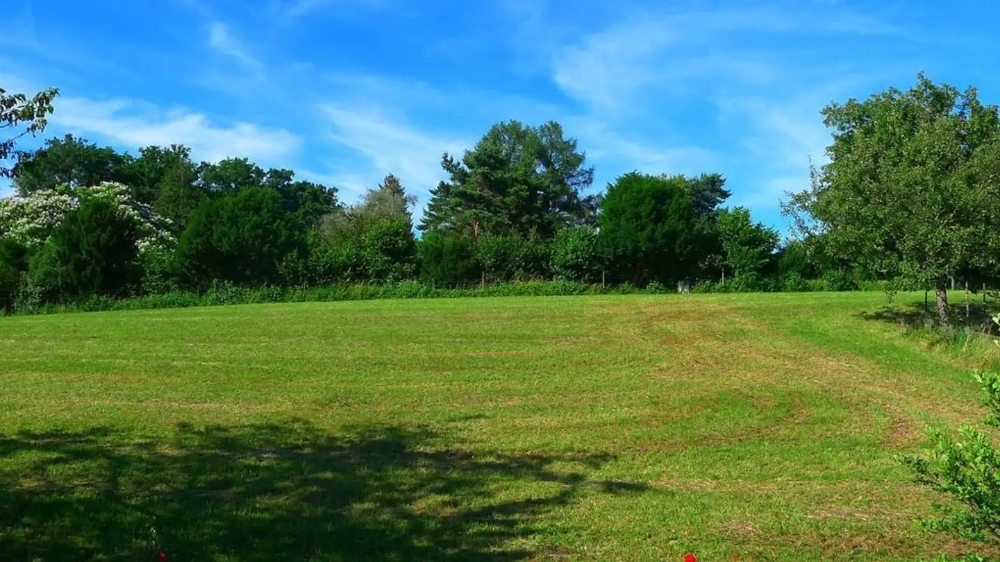 Appartamento in affitto - Segantinistrasse 192, 8049 Zürich - Foto 3