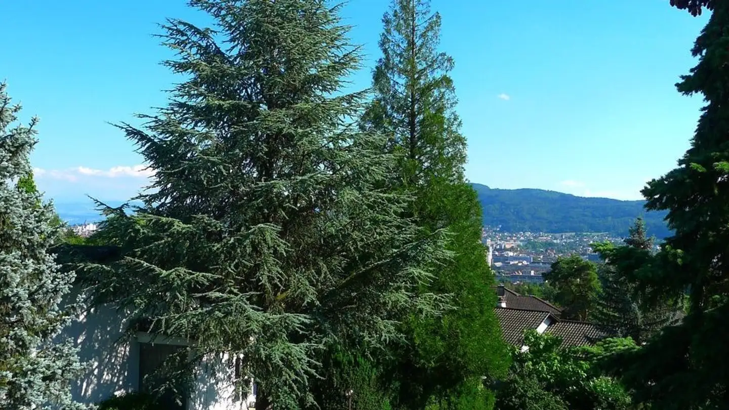 Appartamento in affitto - Segantinistrasse 192, 8049 Zürich - Foto 4