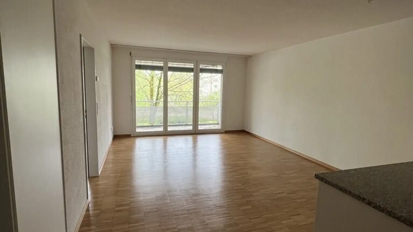 Appartamento in affitto - Schaffhauserstrasse 615, 8052 Zürich - Photo 2