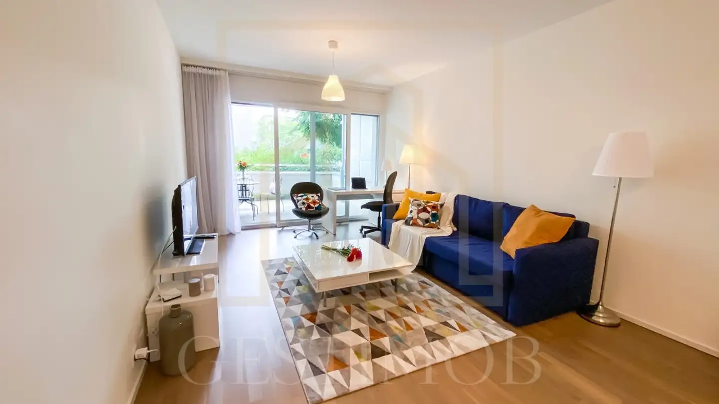 Appartamento a gradini in vendita - Chemin Falconnier, 1260 Nyon - Photo 2