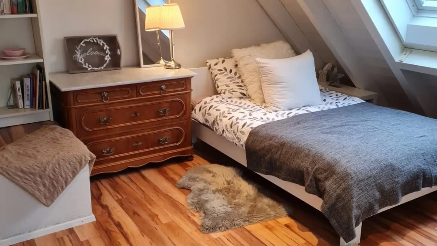 Single room for rent - 8340 Hinwil