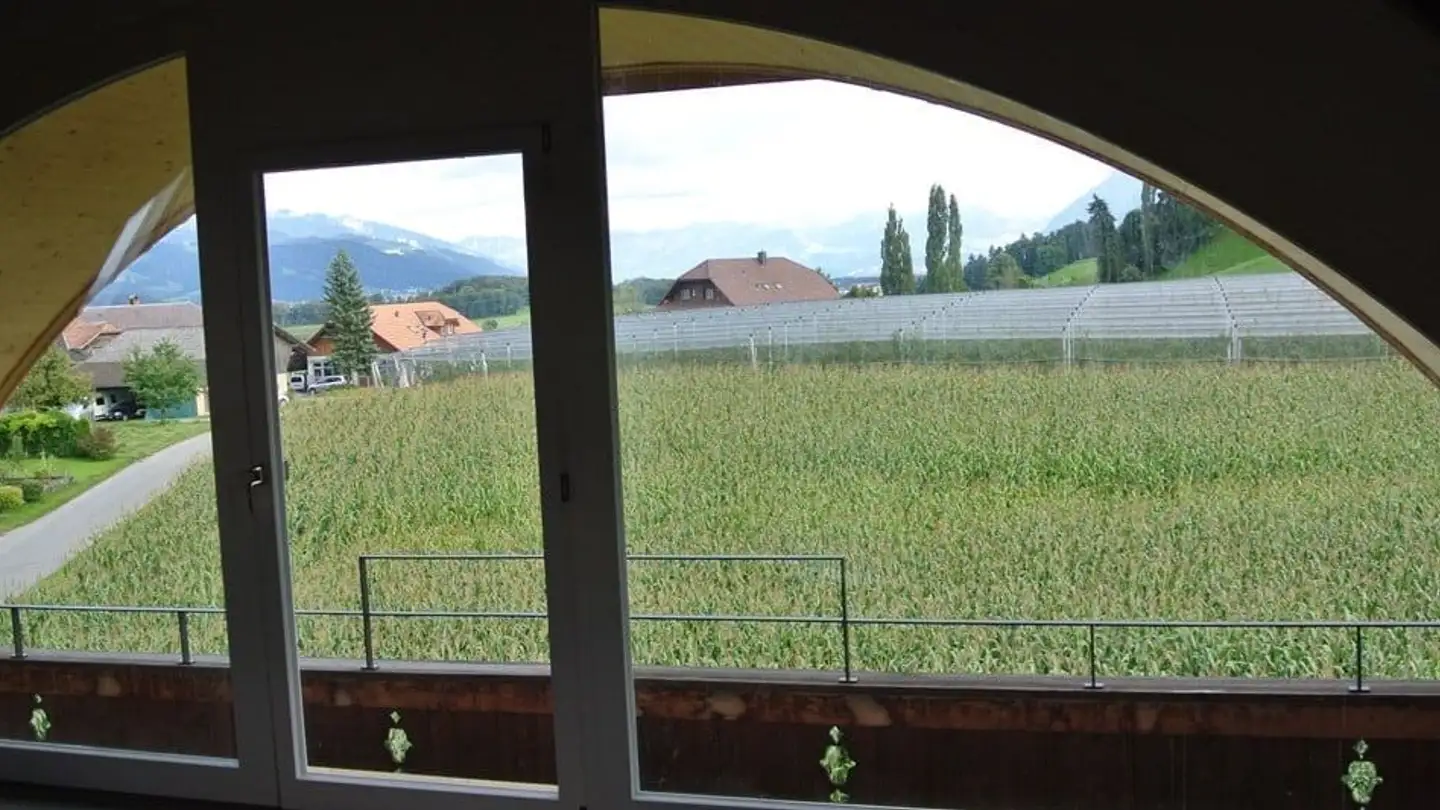 Attique à louer - Unterdorf 8, 3116 Noflen BE - Photo 3