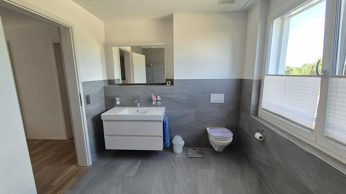 Appartement à vendre - Wiesenstrasse 59, 8552 Felben-Wellhausen - Photo 3