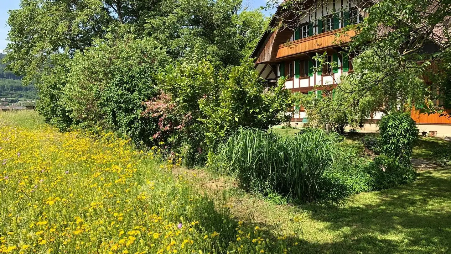 Appartamento in affitto - Eisselacker 926, 3123 Belp