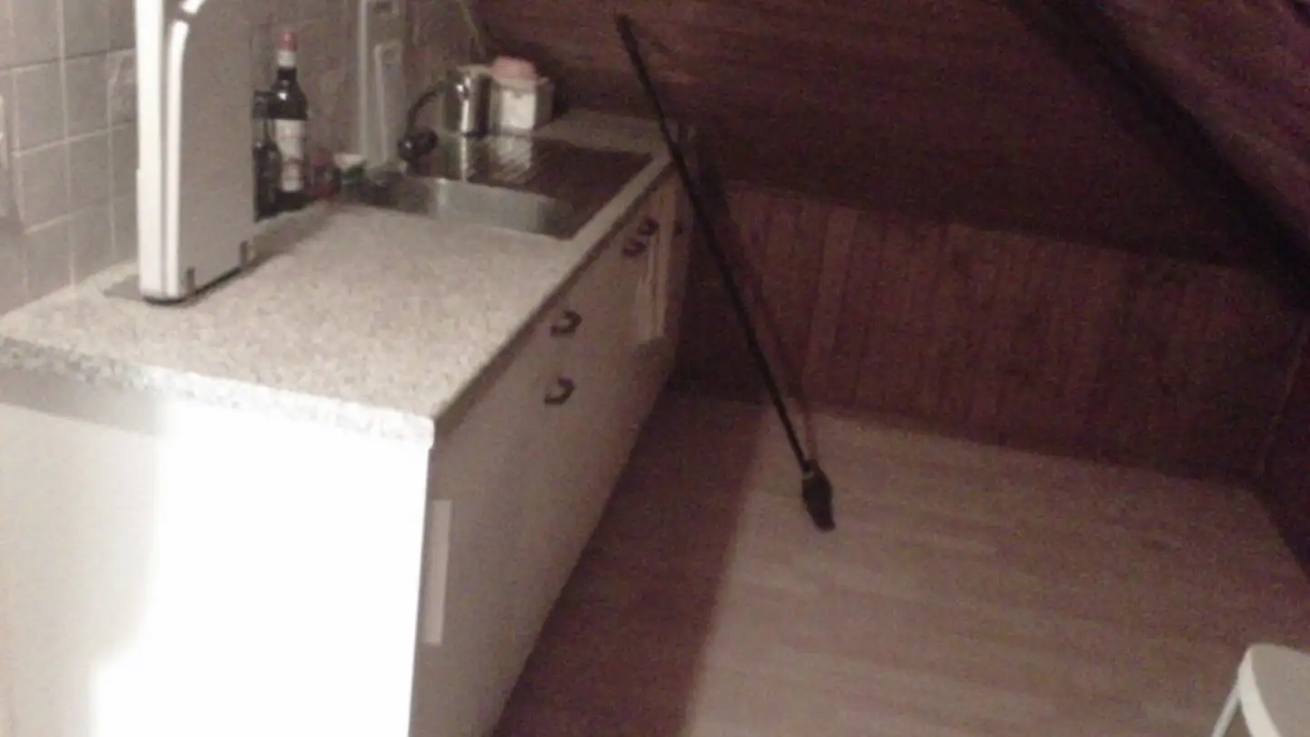 Appartamento in affitto - Via Clemente Maraini, 6900 Lugano - Photo 3