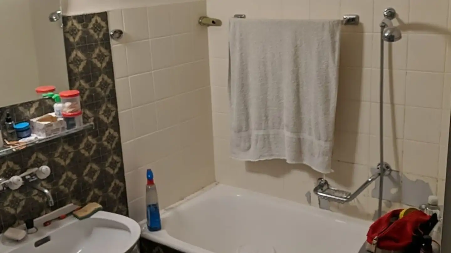 Attico in affitto - Rue Des Asters 8, 1202 Genève - Foto 3