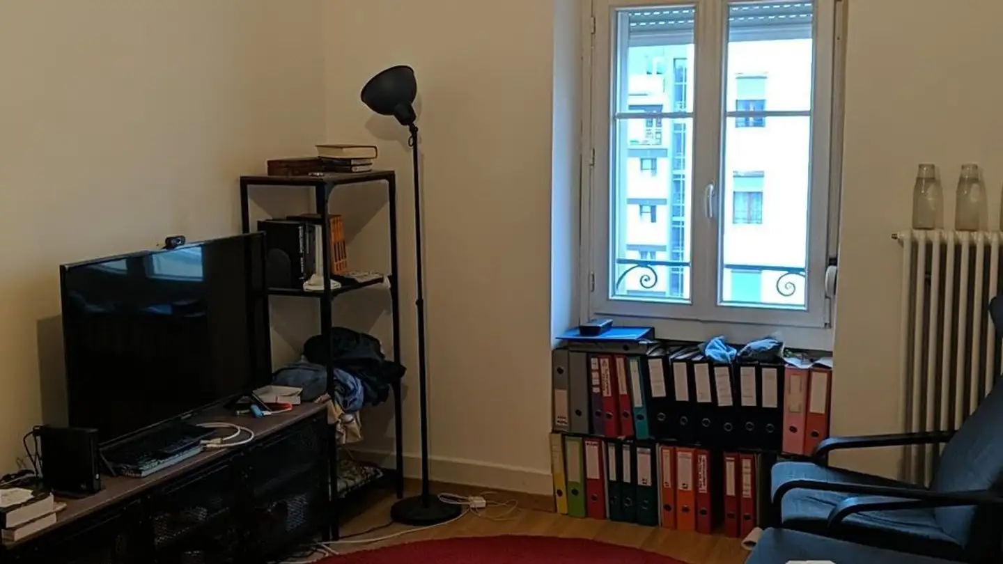 Attico in affitto - Rue Des Asters 8, 1202 Genève