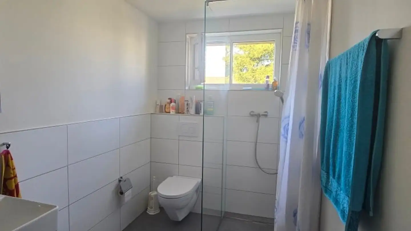 Appartamento in affitto - Hirtenbündtenweg 2, 4102 Binningen - Foto 4
